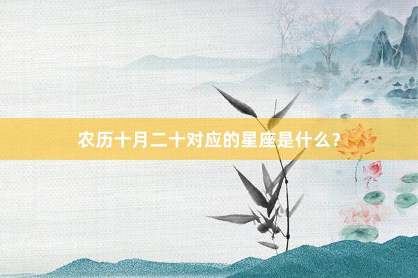 农历十月二十对应的星座是什么?