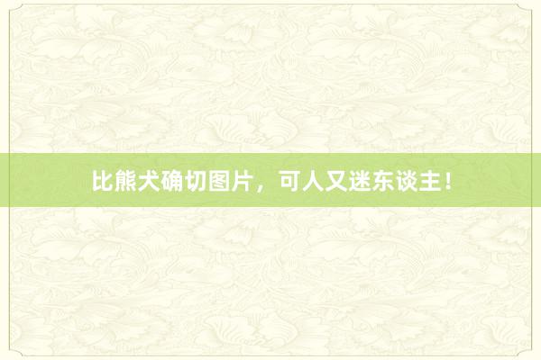 比熊犬确切图片,可人又迷东谈主!